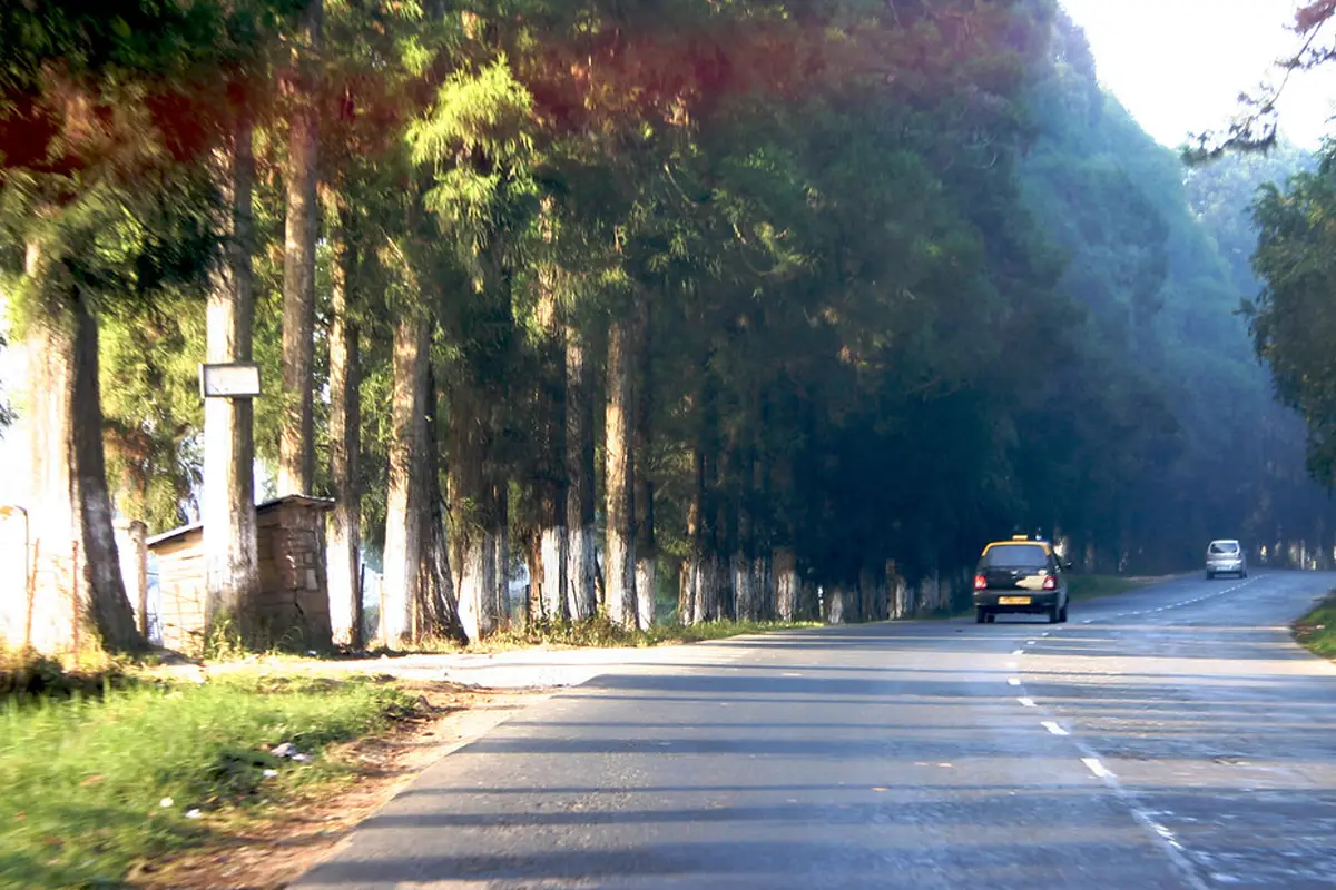 meghalaya-roadtrip