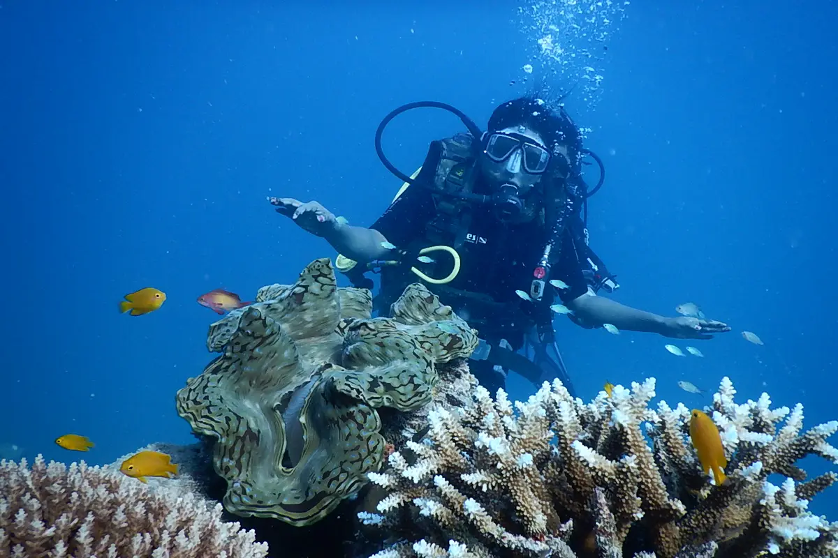 scuba-andaman